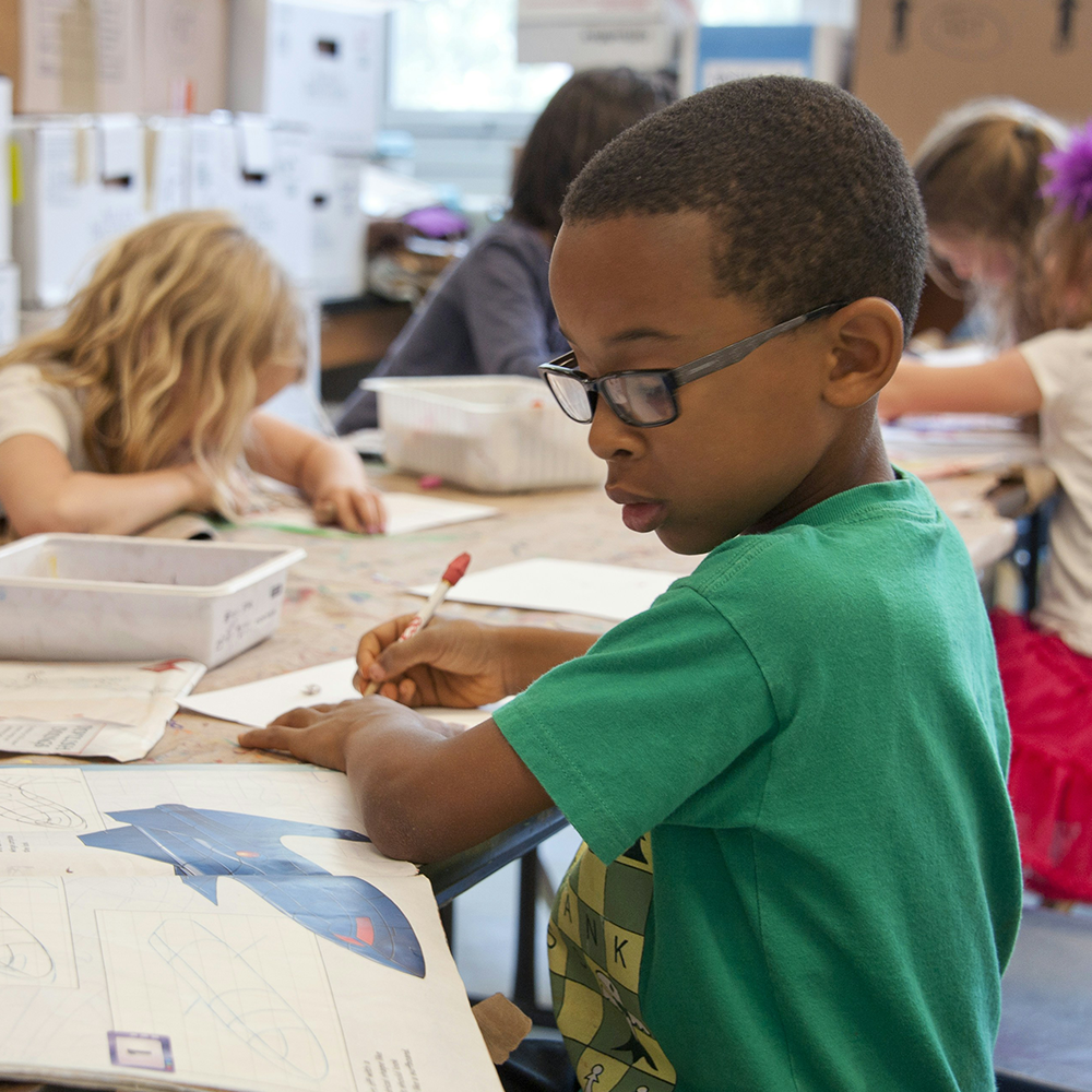 Nature Masterminds — From basic website to dynamic learning ecosystem.